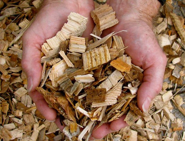 Wood-Pulp