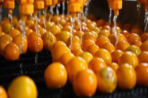 pl24799914-food_industry_nfc_citrus_processing_line_220v_water_saving_long_service_life